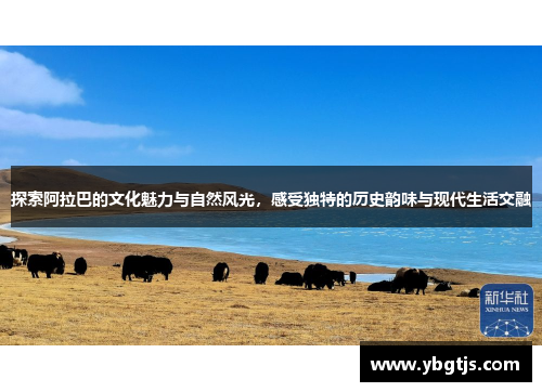探索阿拉巴的文化魅力与自然风光，感受独特的历史韵味与现代生活交融