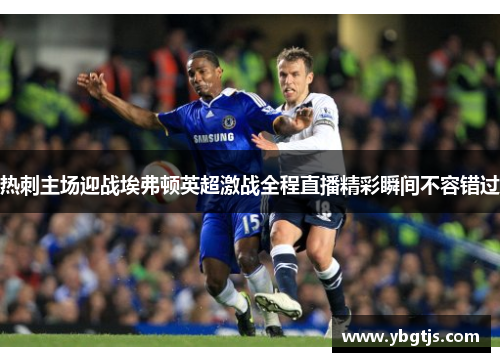 热刺主场迎战埃弗顿英超激战全程直播精彩瞬间不容错过